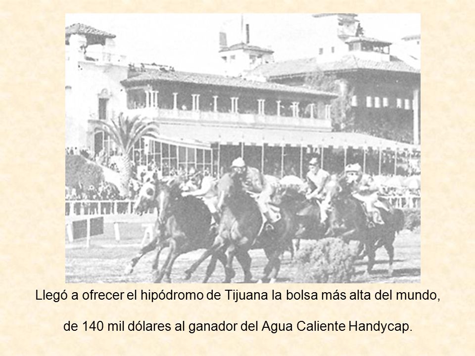 Llegó a ofrecer el hipódromo de Tijuana la bolsa más alta del mundo, de 140 mil dólares al ganador del Agua Caliente Handycap.