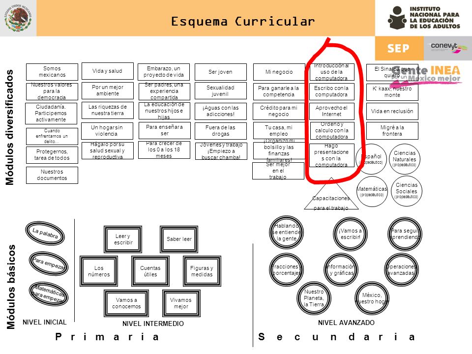 Módulos diversificados