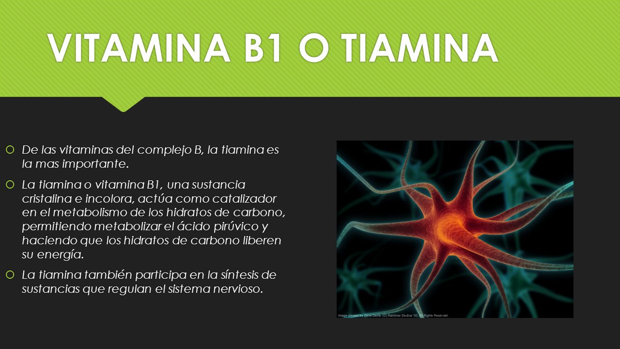 VITAMINA B1 O TIAMINA De las vitaminas del complejo B, la tiamina es la mas importante.