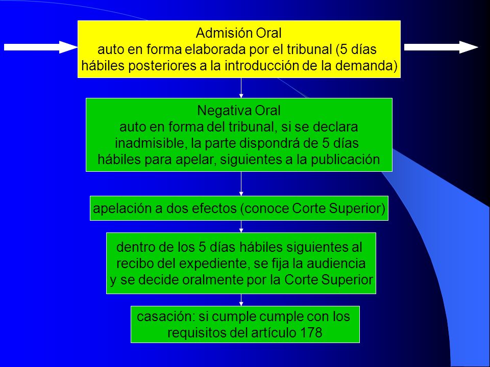 auto en forma elaborada por el tribunal (5 días