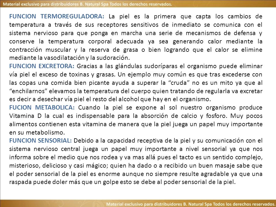 FUNCION TERMOREGULADORA: La piel es la primera que capta los cambios de temperatura a través de sus receptores sensitivos de inmediato se comunica con el sistema nervioso para que ponga en marcha una serie de mecanismos de defensa y conserve la temperatura corporal adecuada ya sea generando calor mediante la contracción muscular y la reserva de grasa o bien logrando que el calor se elimine mediante la vasodilatación y la sudoración.