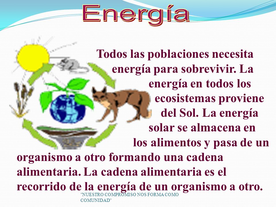 Energía Todos las poblaciones necesita energía para sobrevivir. La