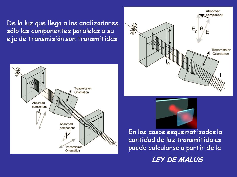 De la luz que llega a los analizadores, sólo las componentes paralelas a su eje de transmisión son transmitidas.