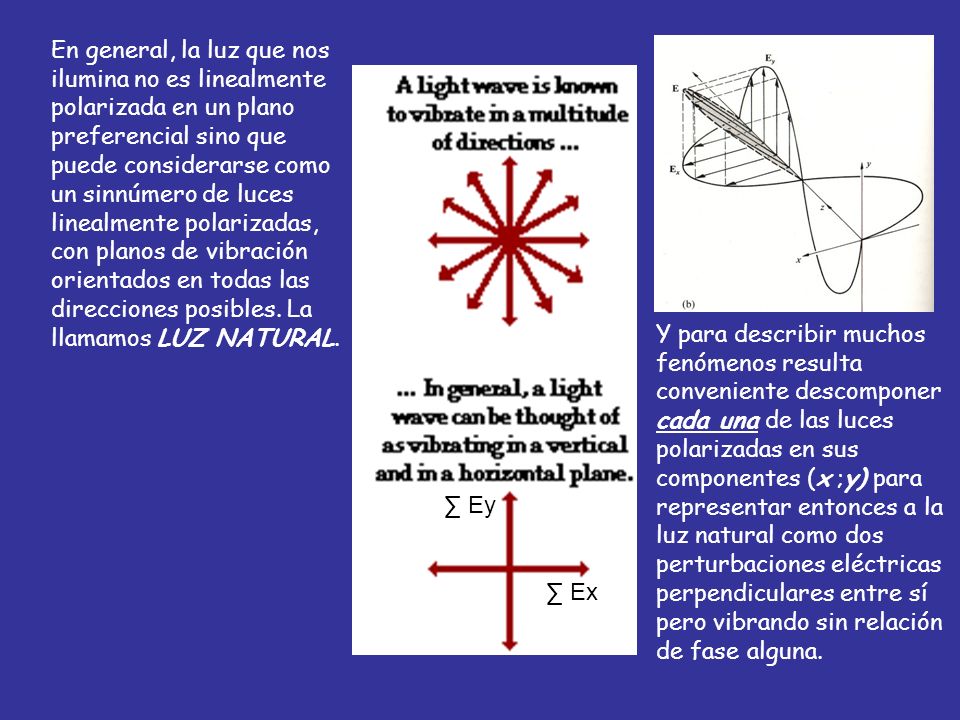 En general, la luz que nos ilumina no es linealmente polarizada en un plano preferencial sino que puede considerarse como un sinnúmero de luces linealmente polarizadas, con planos de vibración orientados en todas las direcciones posibles. La llamamos LUZ NATURAL.