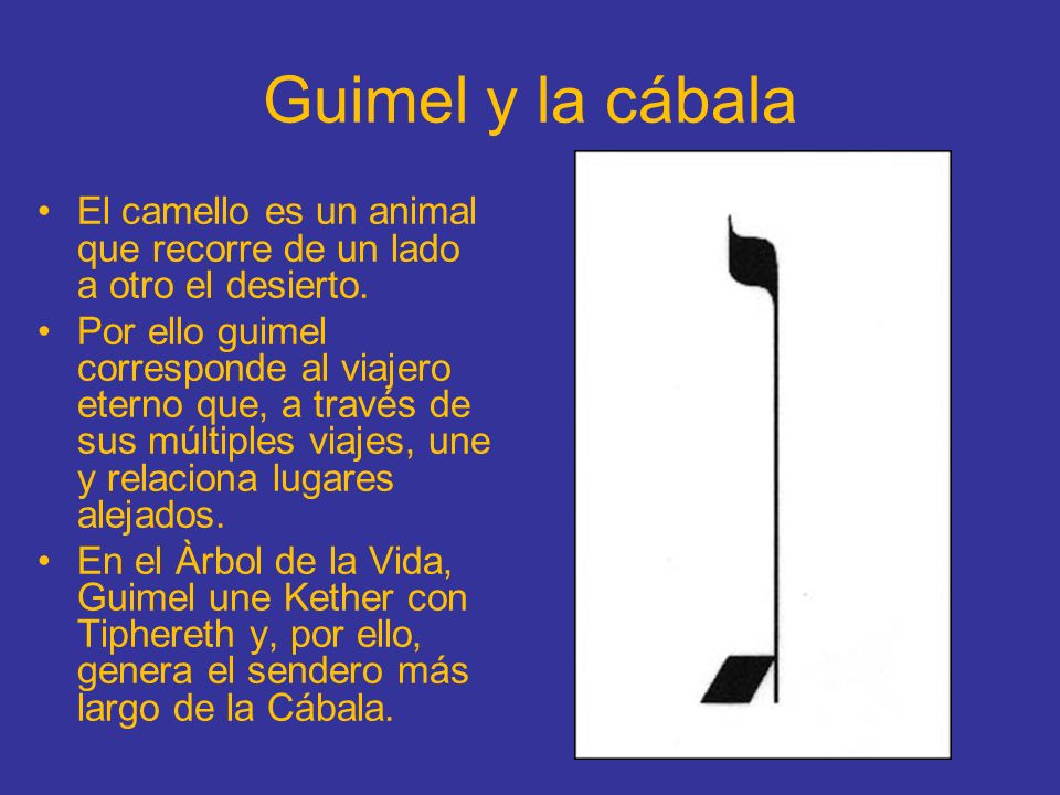 Guimel y la cábala El camello es un animal que recorre de un lado a otro el desierto.
