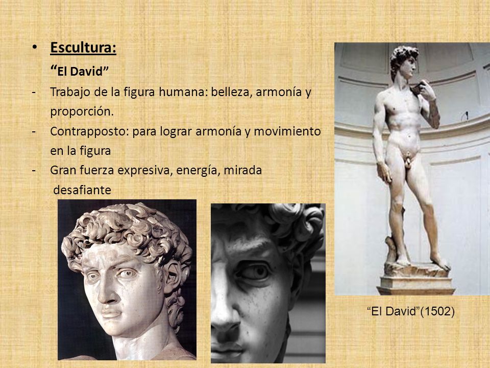 Escultura: El David Trabajo de la figura humana: belleza, armonía y