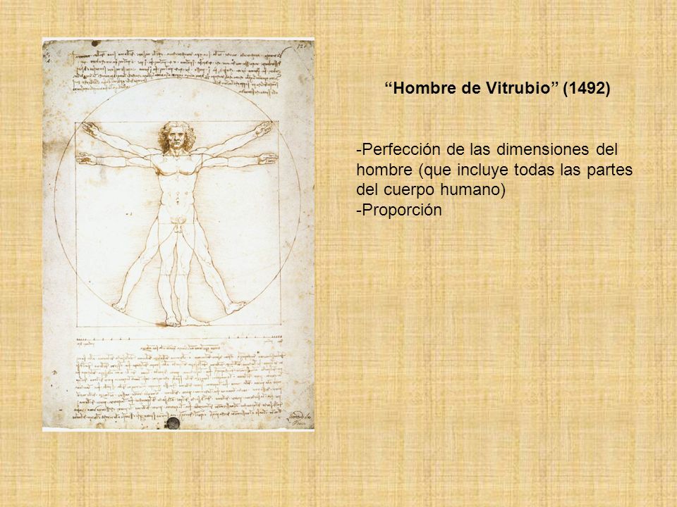 Hombre de Vitrubio (1492)