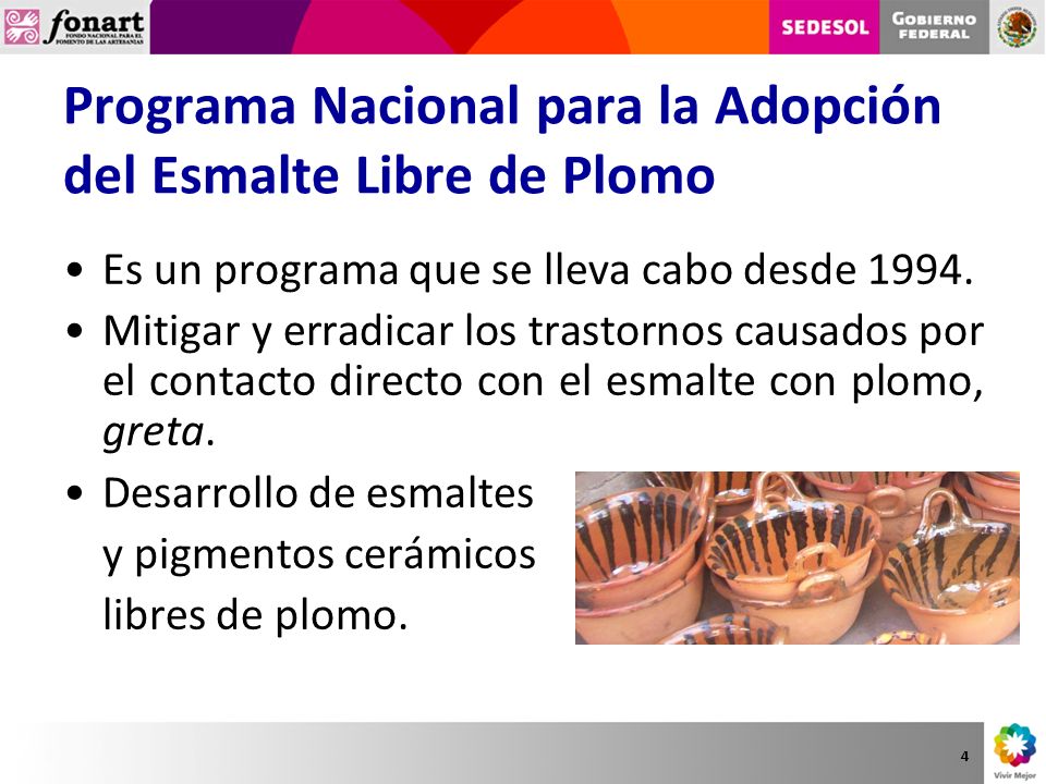 Programa Nacional para la Adopción del Esmalte Libre de Plomo