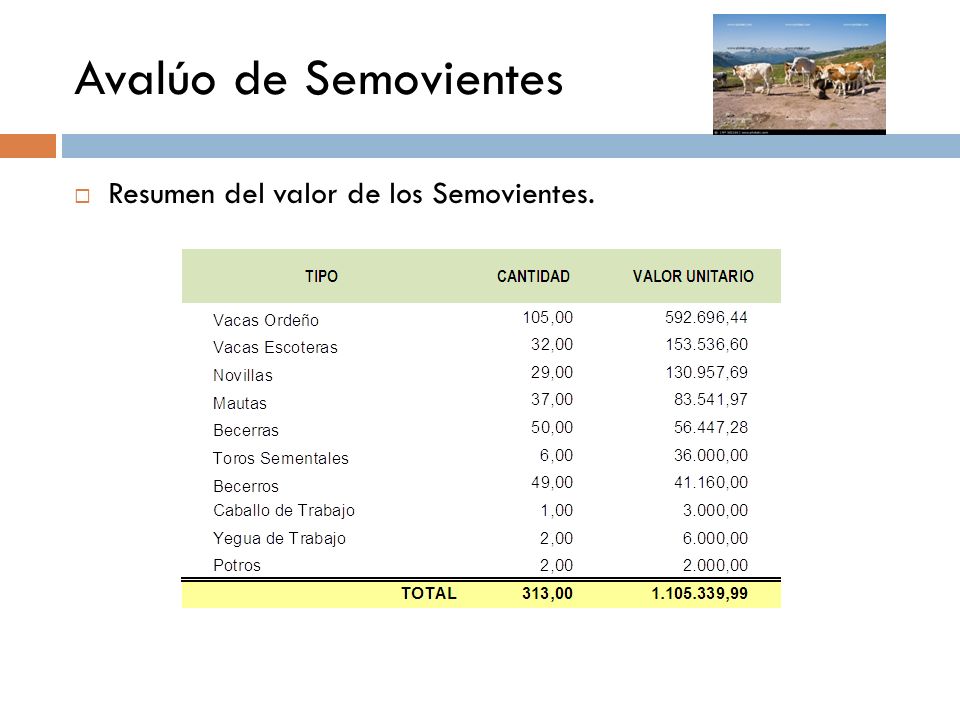 Avalúo de Semovientes Resumen del valor de los Semovientes.