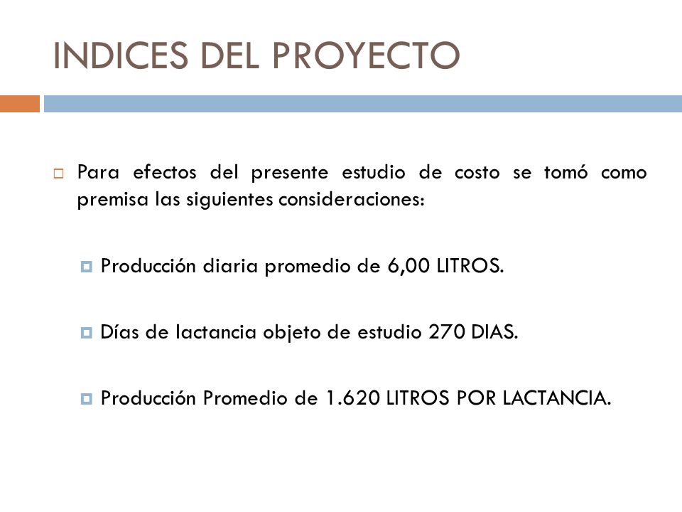INDICES DEL PROYECTO Para efectos del presente estudio de costo se tomó como premisa las siguientes consideraciones: