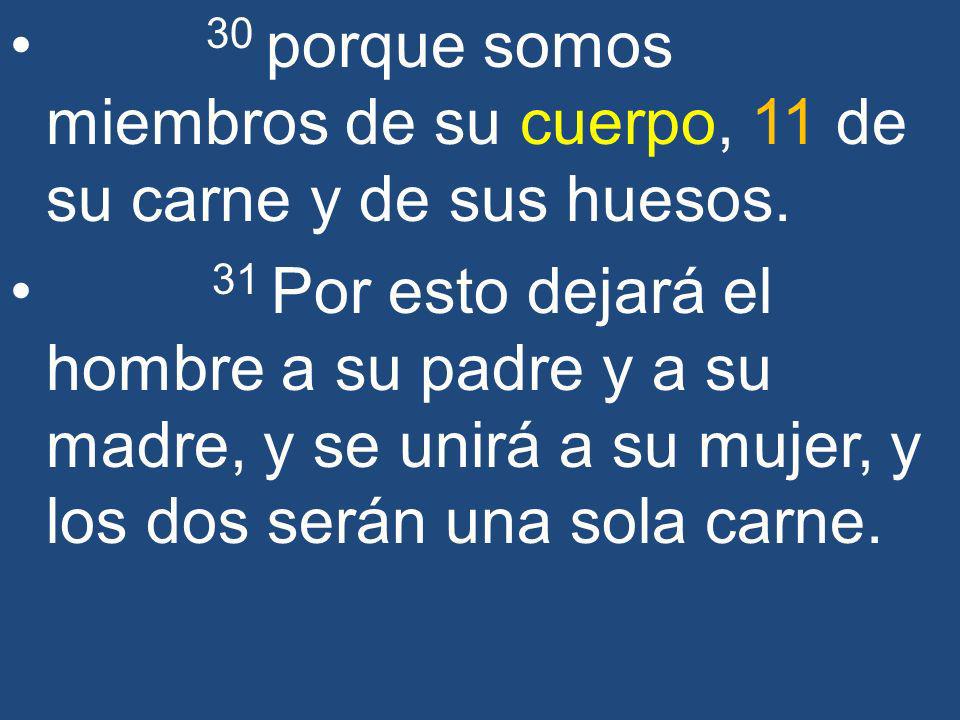 30 porque somos miembros de su cuerpo, 11 de su carne y de sus huesos.