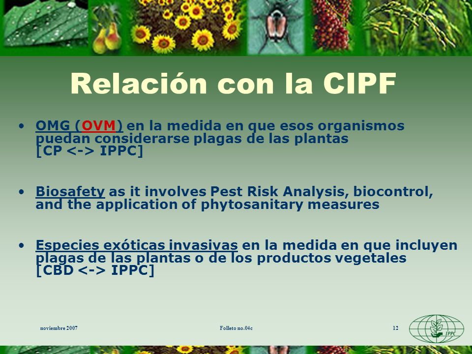 Relación con la CIPF OMG (OVM) en la medida en que esos organismos puedan considerarse plagas de las plantas [CP <-> IPPC]