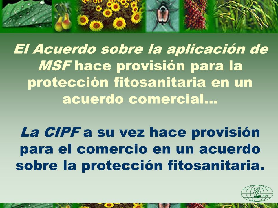 El Acuerdo sobre la aplicación de MSF hace provisión para la protección fitosanitaria en un acuerdo comercial...