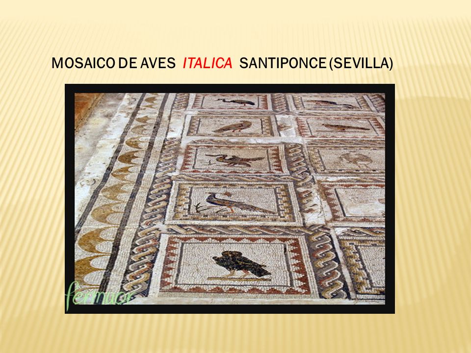 MOSAICO DE AVES ITALICA SANTIPONCE (SEVILLA)