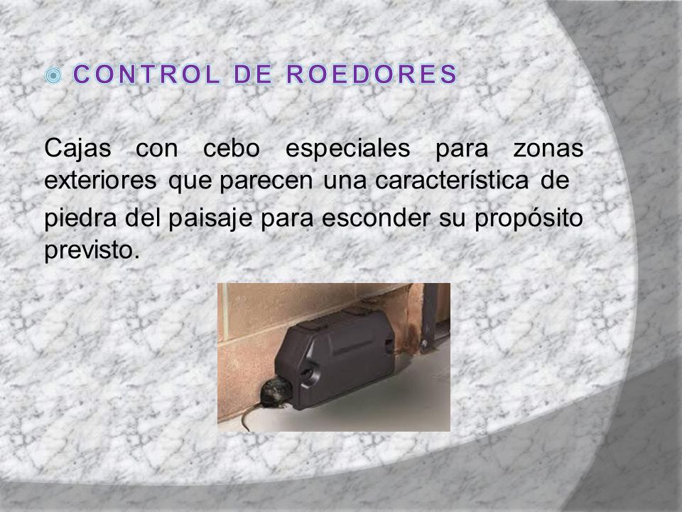 CONTROL DE ROEDORES Cajas con cebo especiales para zonas exteriores que parecen una característica de.