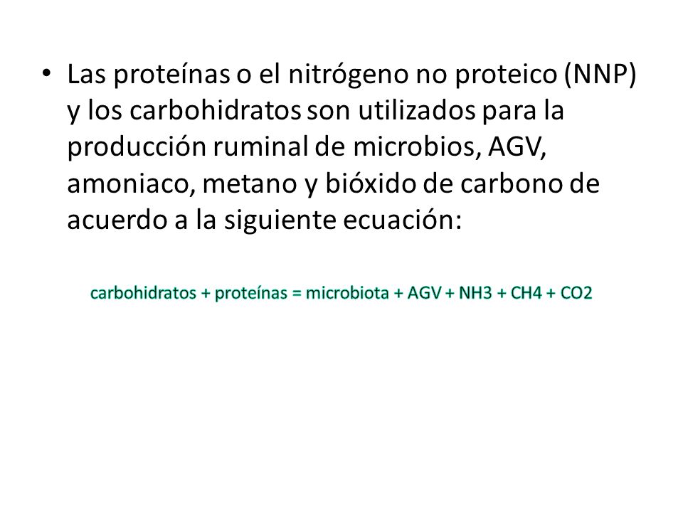 carbohidratos + proteínas = microbiota + AGV + NH3 + CH4 + CO2