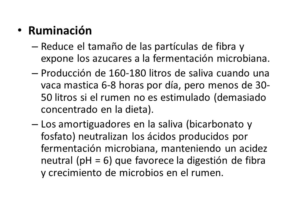 Ruminación Reduce el tamaño de las partículas de fibra y expone los azucares a la fermentación microbiana.