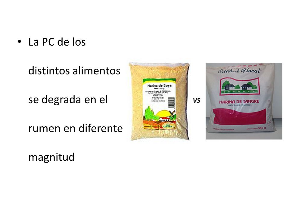 La PC de los distintos alimentos se degrada en el rumen en diferente magnitud