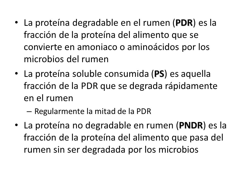 La proteína degradable en el rumen (PDR) es la fracción de la proteína del alimento que se convierte en amoniaco o aminoácidos por los microbios del rumen