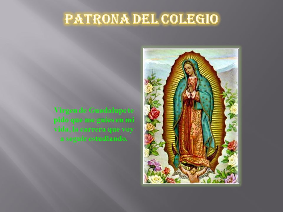Patrona del Colegio Virgen de Guadalupe te pido que me guíes en mi vida, la carrera que voy a seguir estudiando.