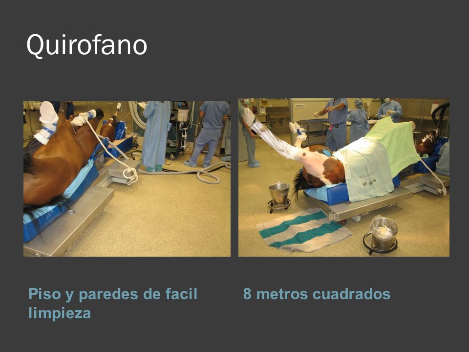 Quirofano Piso y paredes de facil limpieza 8 metros cuadrados