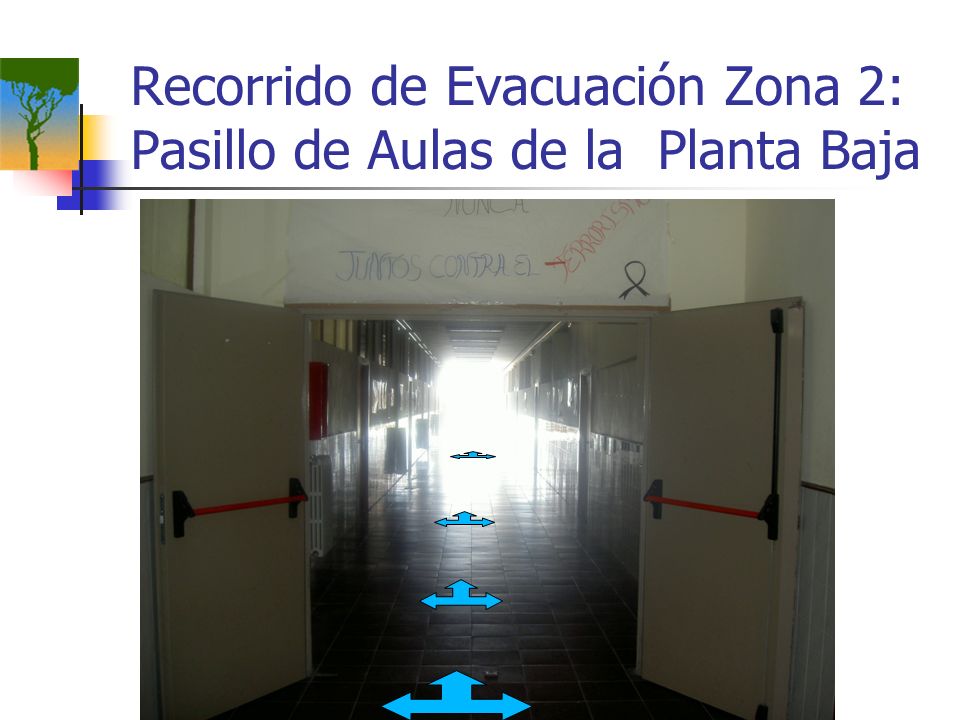 Recorrido de Evacuación Zona 2: Pasillo de Aulas de la Planta Baja
