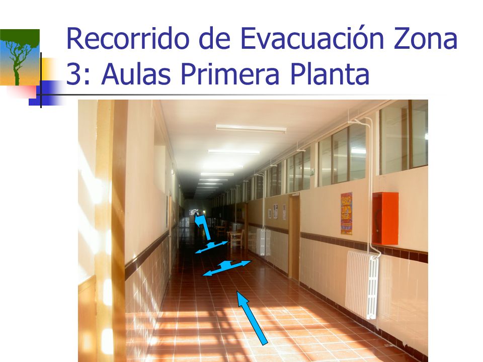 Recorrido de Evacuación Zona 3: Aulas Primera Planta
