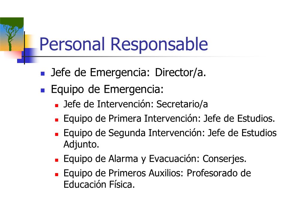 Personal Responsable Jefe de Emergencia: Director/a.