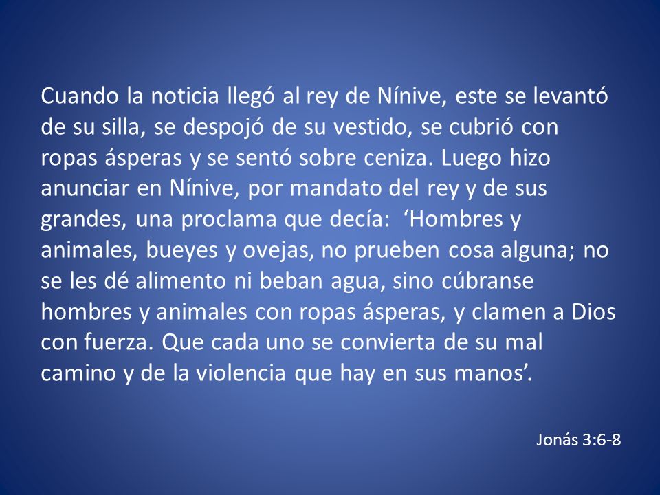 Cuando la noticia llegó al rey de Nínive, este se levantó de su silla, se despojó de su vestido, se cubrió con ropas ásperas y se sentó sobre ceniza. Luego hizo anunciar en Nínive, por mandato del rey y de sus grandes, una proclama que decía: ‘Hombres y animales, bueyes y ovejas, no prueben cosa alguna; no se les dé alimento ni beban agua, sino cúbranse hombres y animales con ropas ásperas, y clamen a Dios con fuerza. Que cada uno se convierta de su mal camino y de la violencia que hay en sus manos’.