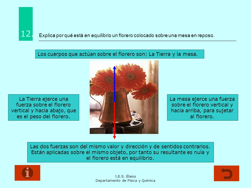 Explica por qué está en equilibrio un florero colocado sobre una mesa en reposo.
