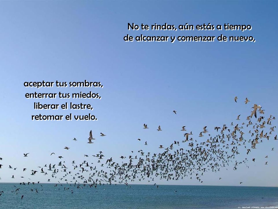 No te rindas, aún estás a tiempo de alcanzar y comenzar de nuevo,
