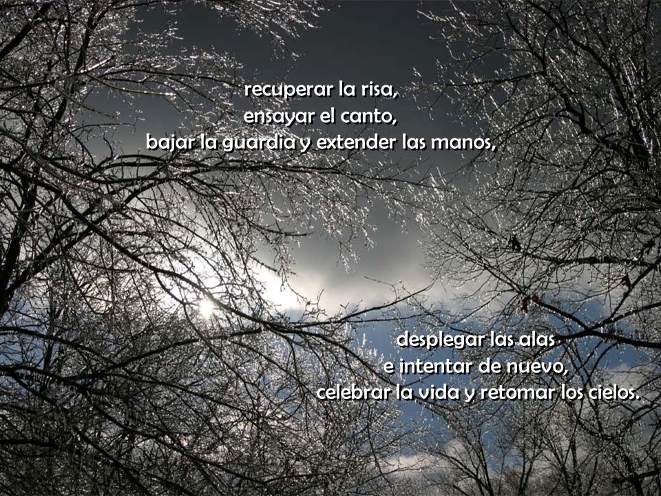 recuperar la risa, ensayar el canto, bajar la guardia y extender las manos,