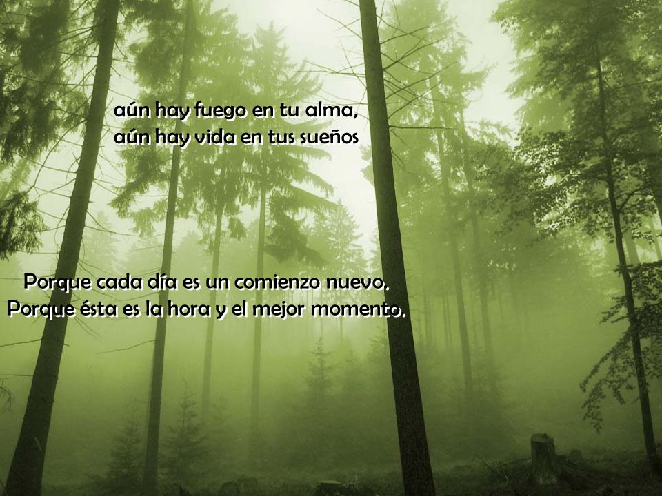 aún hay fuego en tu alma, aún hay vida en tus sueños