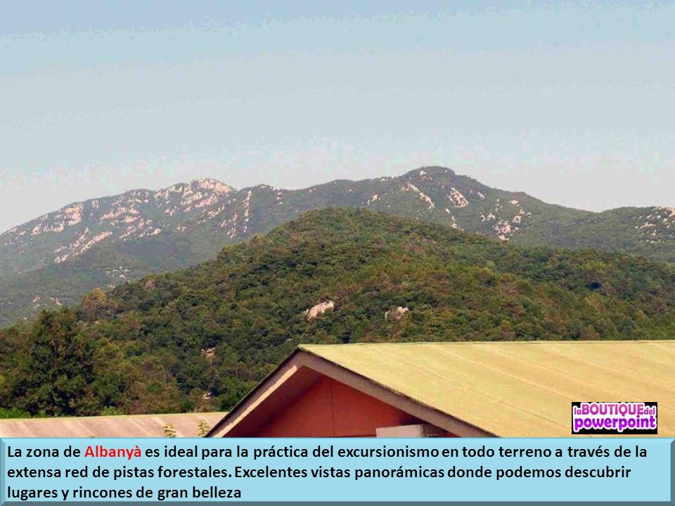 La zona de Albanyà es ideal para la práctica del excursionismo en todo terreno a través de la extensa red de pistas forestales.