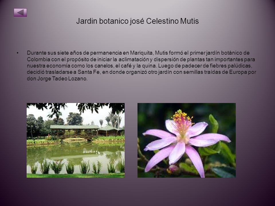 Jardin botanico josé Celestino Mutis