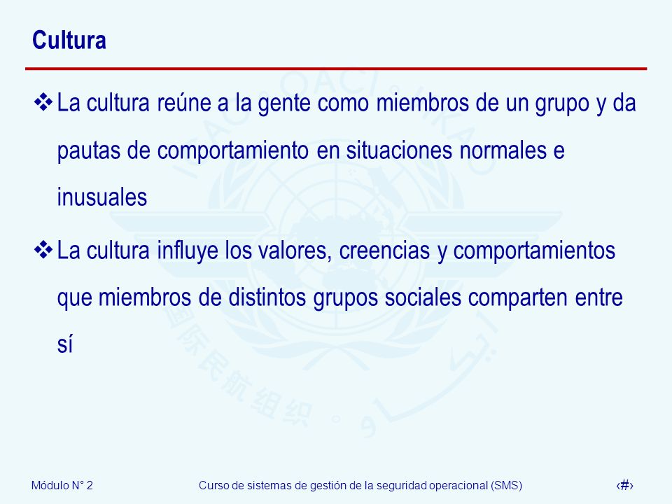 Cultura La cultura reúne a la gente como miembros de un grupo y da pautas de comportamiento en situaciones normales e inusuales.