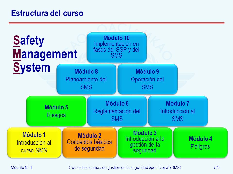 Safety Management System Estructura del curso