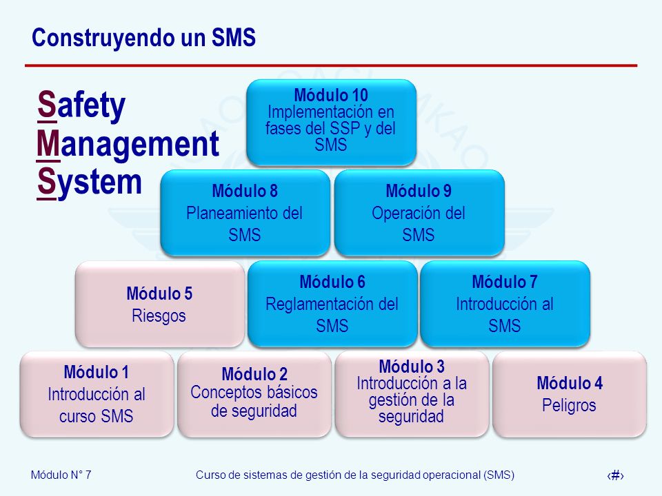 Safety Management System Construyendo un SMS
