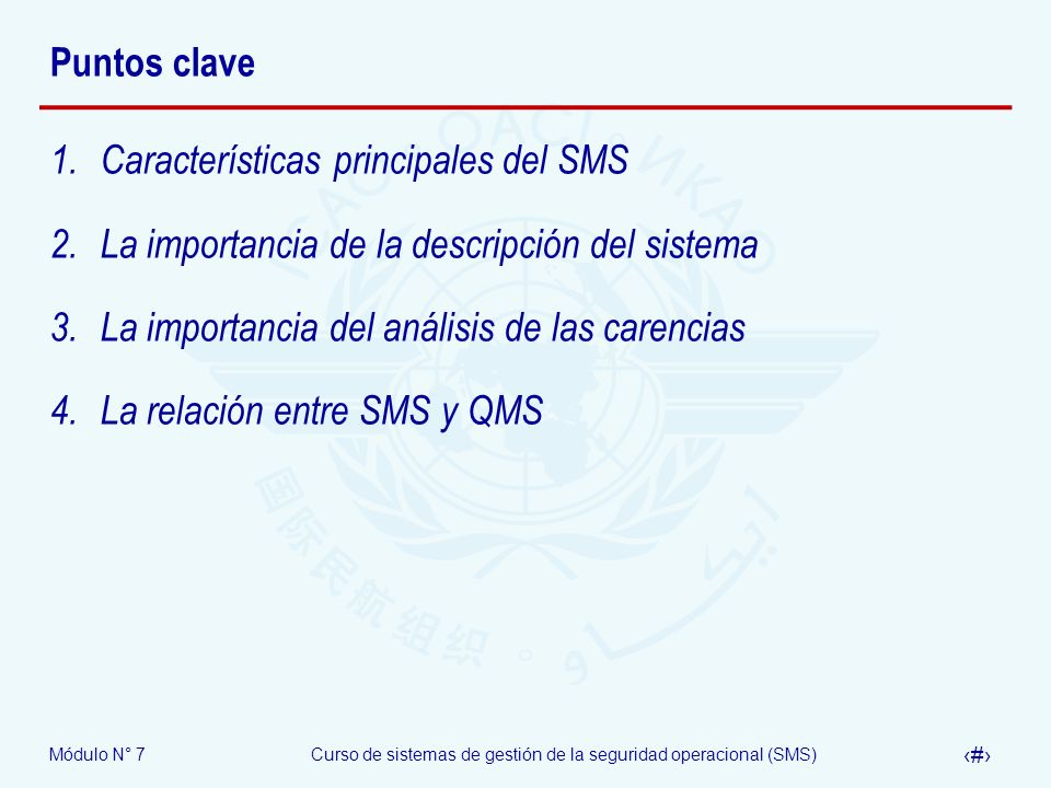 Puntos clave Características principales del SMS. La importancia de la descripción del sistema. La importancia del análisis de las carencias.