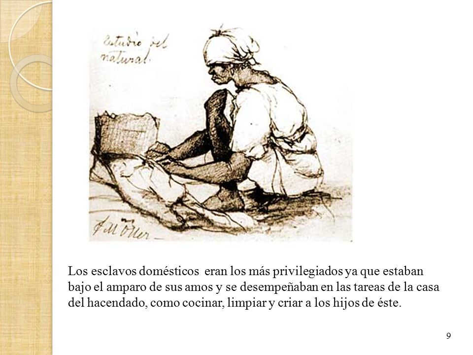 Los esclavos domésticos eran los más privilegiados ya que estaban bajo el amparo de sus amos y se desempeñaban en las tareas de la casa del hacendado, como cocinar, limpiar y criar a los hijos de éste.