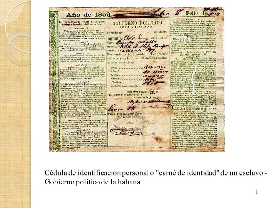 Cédula de identificación personal o carné de identidad de un esclavo - Gobierno político de la habana