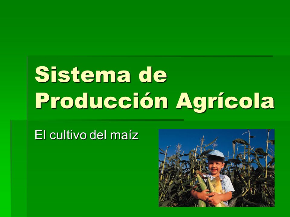 Sistema de Producción Agrícola