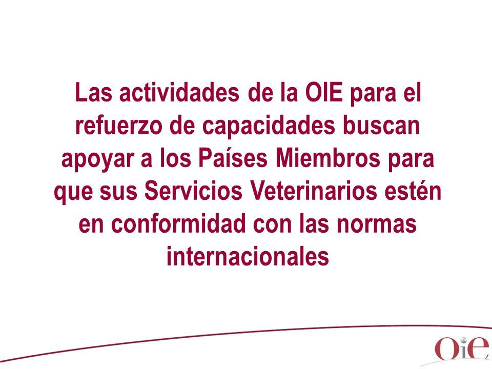Las actividades de la OIE para el refuerzo de capacidades buscan apoyar a los Países Miembros para que sus Servicios Veterinarios estén en conformidad con las normas internacionales