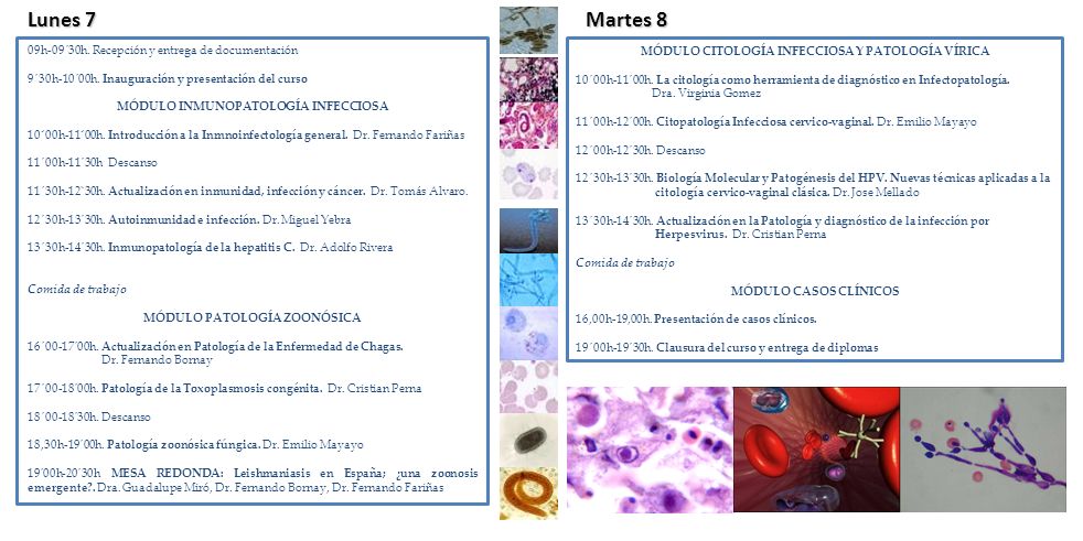 Lunes 7 Martes 8 09h-09´30h. Recepción y entrega de documentación
