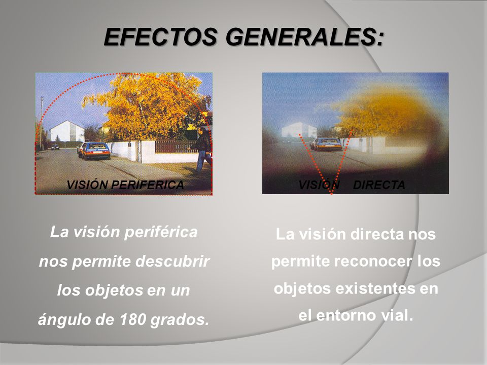 EFECTOS GENERALES: VISIÓN PERIFERICA. VISIÓN DIRECTA. La visión periférica nos permite descubrir los objetos en un ángulo de 180 grados.