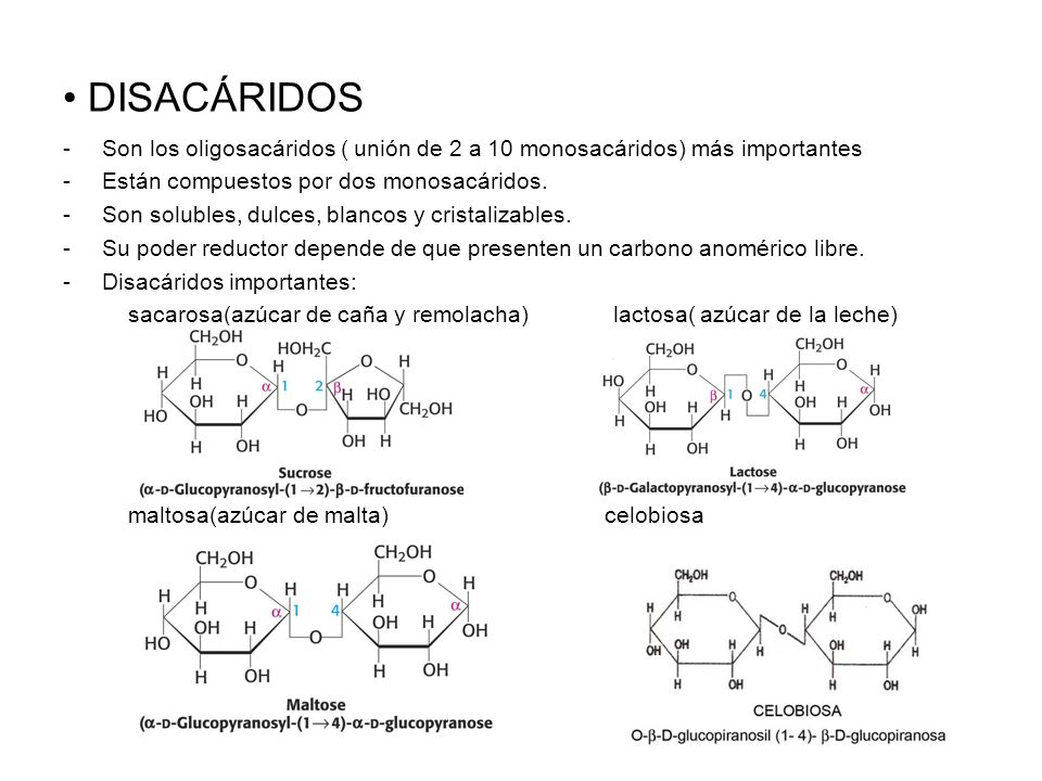 DISACÁRIDOS Son los oligosacáridos ( unión de 2 a 10 monosacáridos) más importantes. Están compuestos por dos monosacáridos.