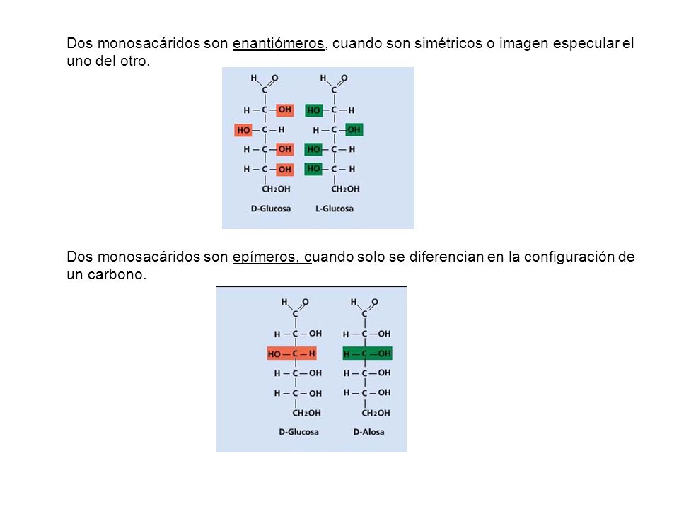 Dos monosacáridos son enantiómeros, cuando son simétricos o imagen especular el uno del otro.
