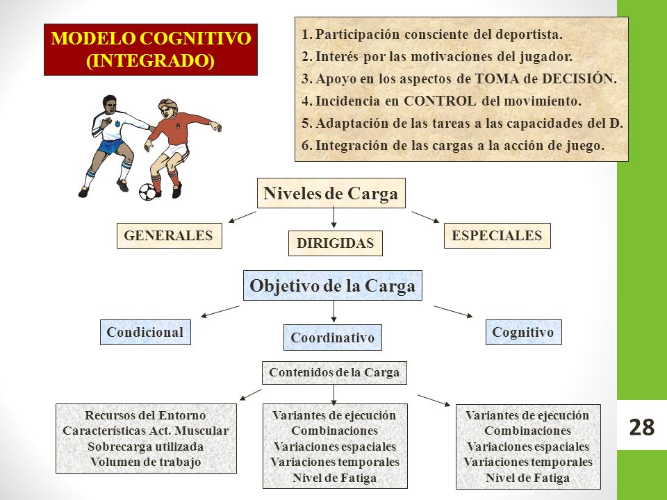 MODELO COGNITIVO (INTEGRADO) Niveles de Carga Objetivo de la Carga