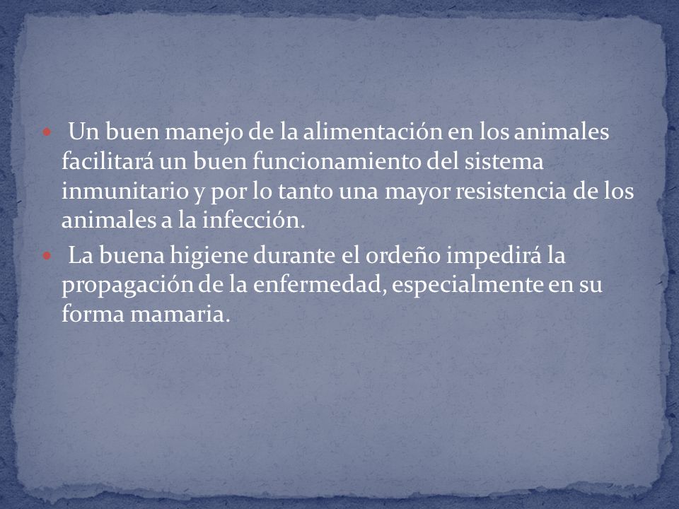 Un buen manejo de la alimentación en los animales facilitará un buen funcionamiento del sistema inmunitario y por lo tanto una mayor resistencia de los animales a la infección.