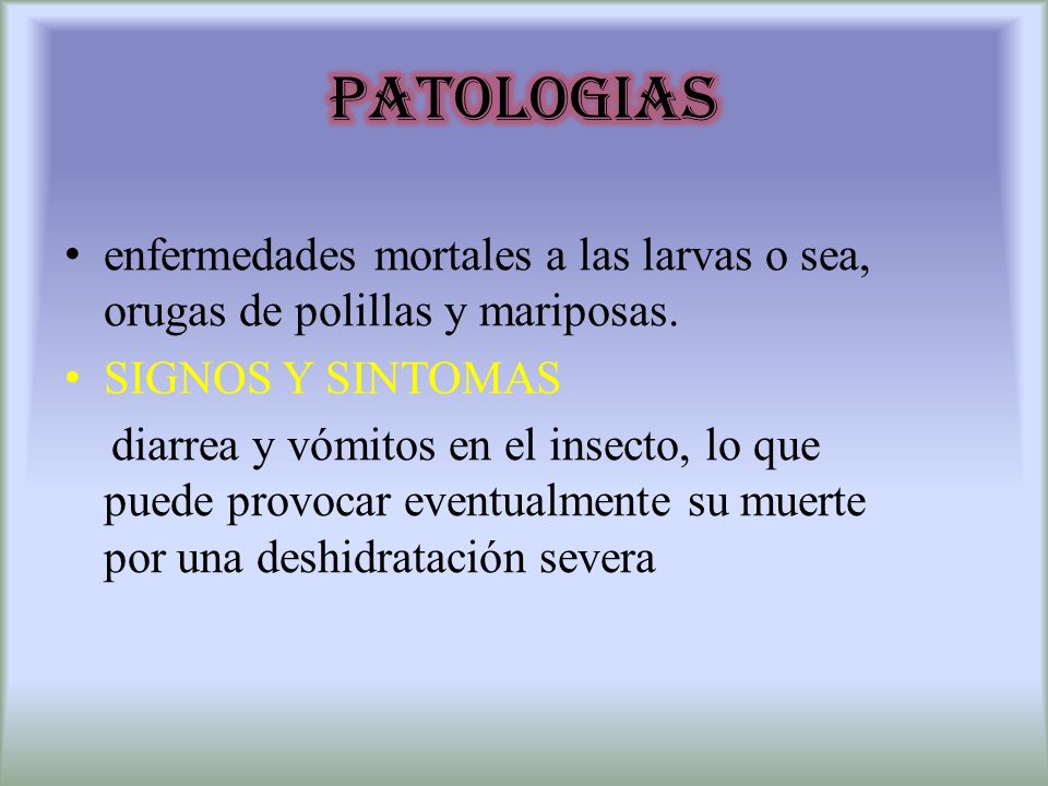 PATOLOGIAS enfermedades mortales a las larvas o sea, orugas de polillas y mariposas. SIGNOS Y SINTOMAS.